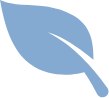 noun-leaf-5958769
