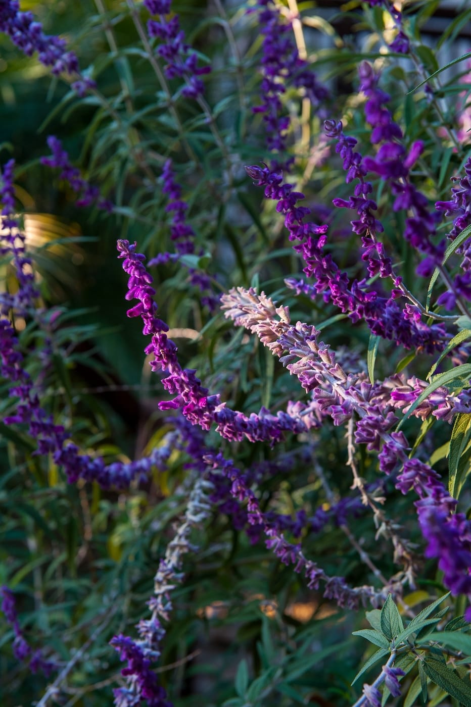 LA_Breathe-0365_RESIZED