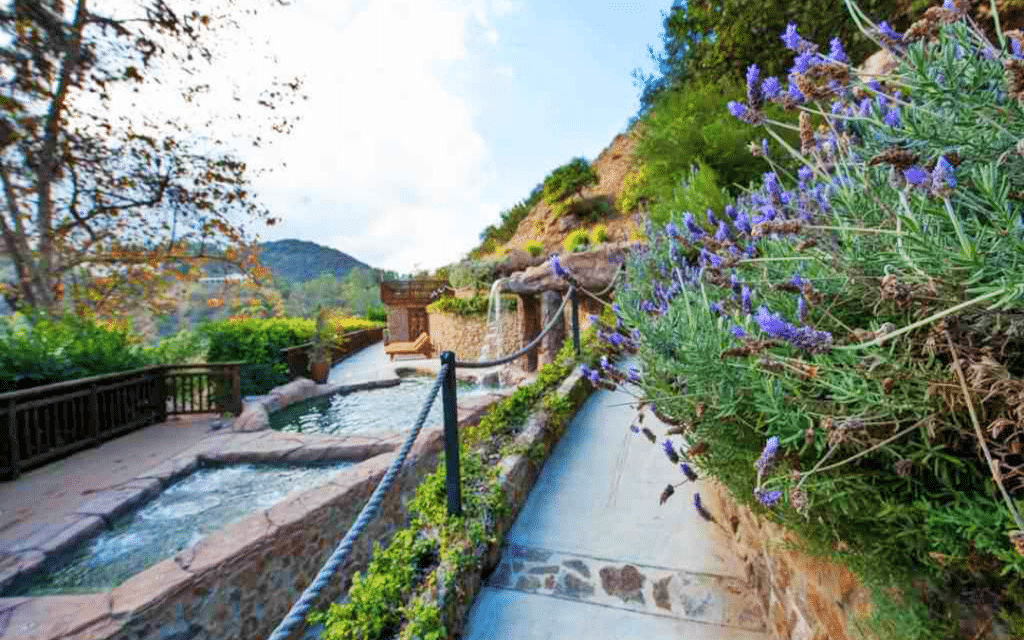 What Transitional Living Offers After Residential Treatment