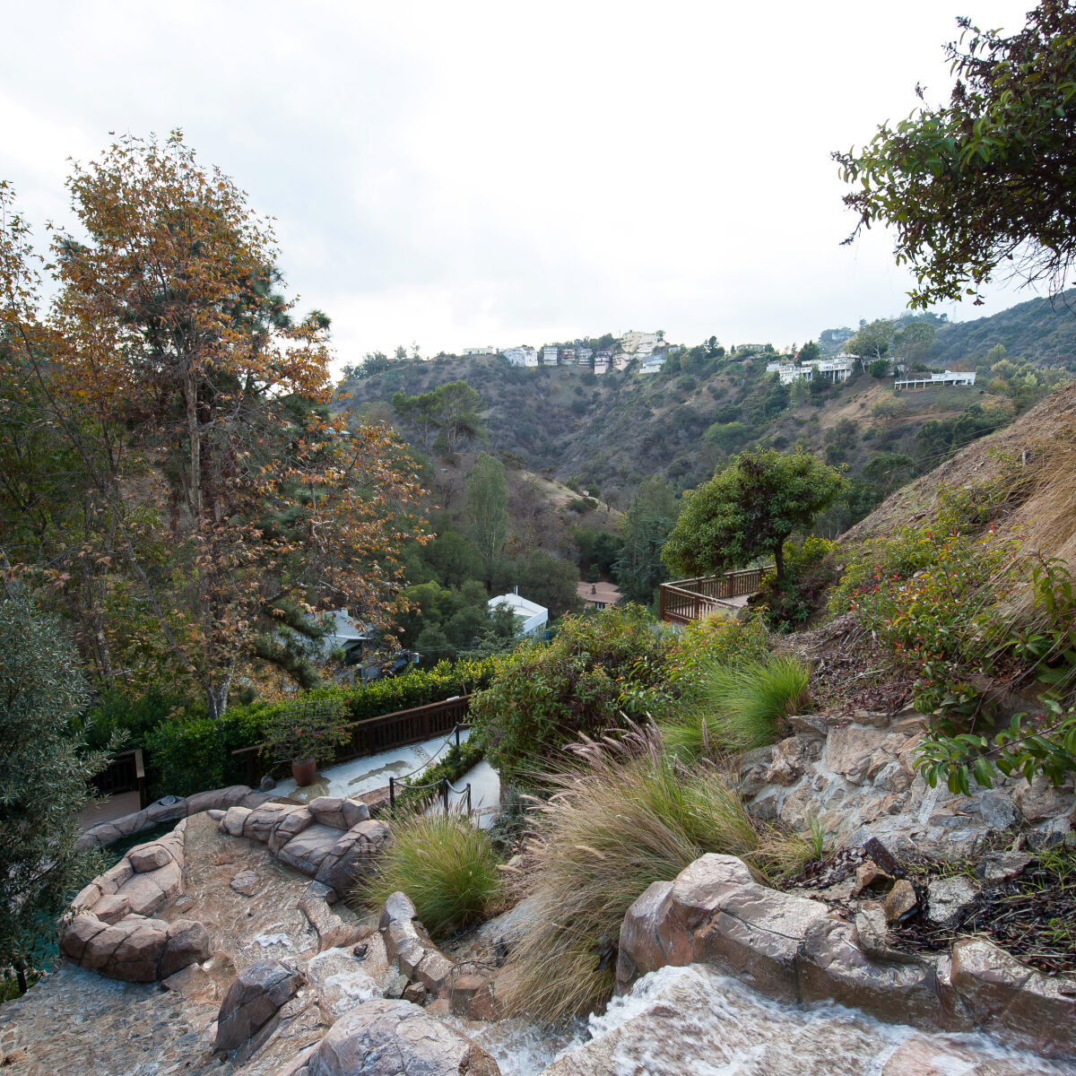 LA_Breathe-0139 (1)